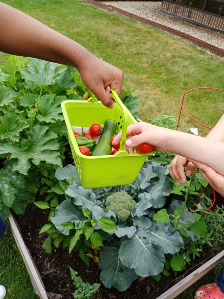 Clients practice gardening skills during social group in School & Community Readiness Clinic. 